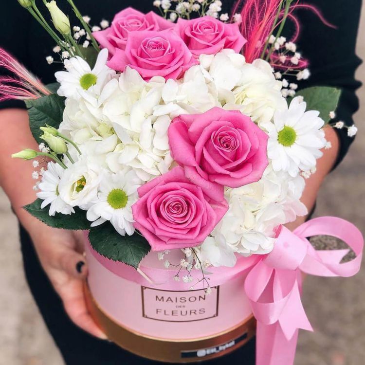 Эйфория от 8 130 руб.